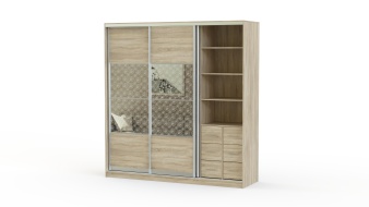 Шкаф-купе Роза-3 BMS