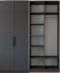 Распашной шкаф Вилета 5 (1000*2500*500) (1000х2500х500)